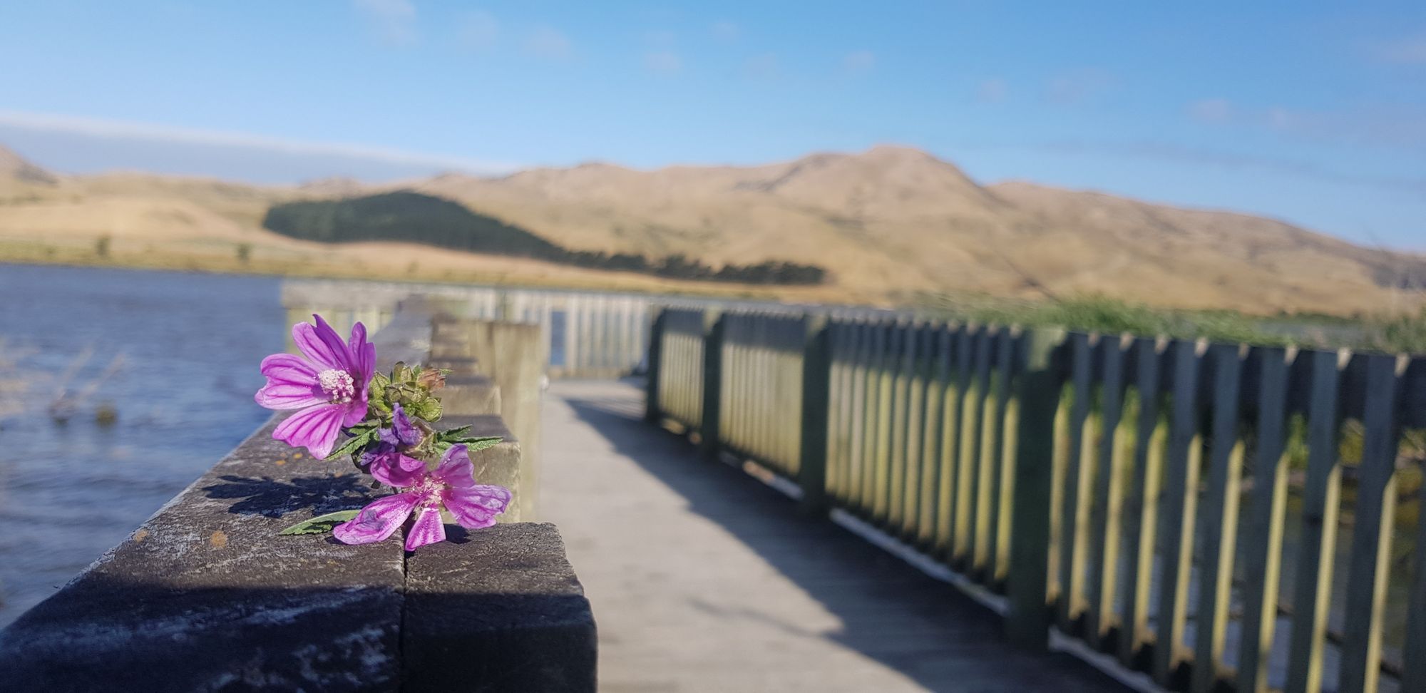 Roadtrip durch Neuseeland - Neujahr und Abschied