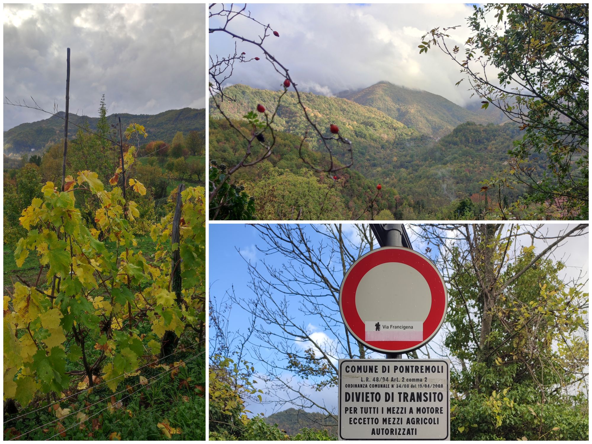 Via Francigena mit der Hängematte - Tag 18 - Berceto bis Wald von Pontremoli
